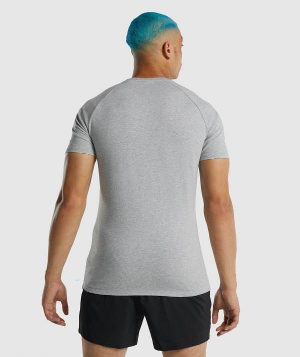 Panske Tricka Gymshark Apollo Svetlo Siva | AJ5047129